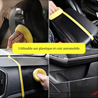 Rénovateur Plastique Pro