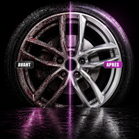 Spray Jantes Pro